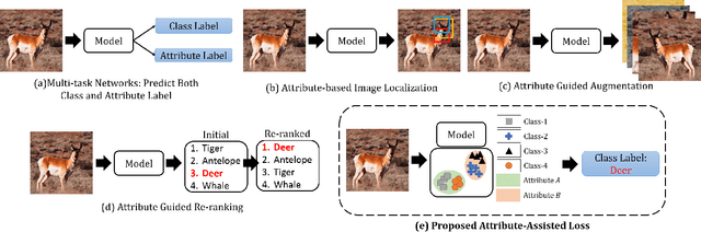 Figure 2 for Enhancing Fine-Grained Classification for Low Resolution Images