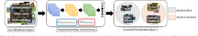 Figure 3 for Enhancing Fine-Grained Classification for Low Resolution Images