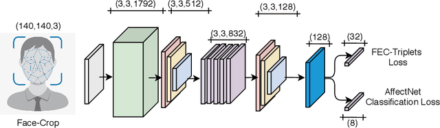 Figure 1 for Towards a General Deep Feature Extractor for Facial Expression Recognition