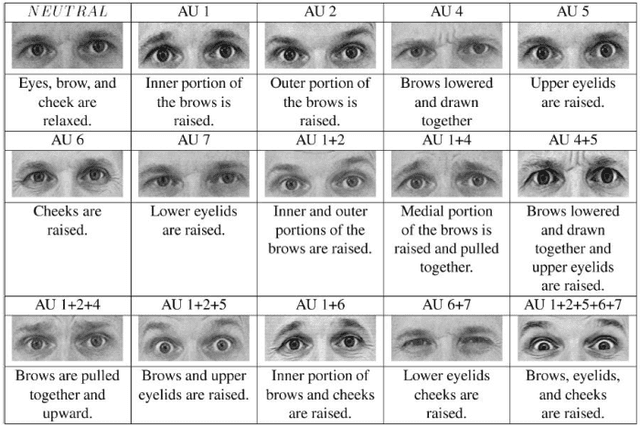 Figure 1 for Face Expression Recognition and Analysis: The State of the Art