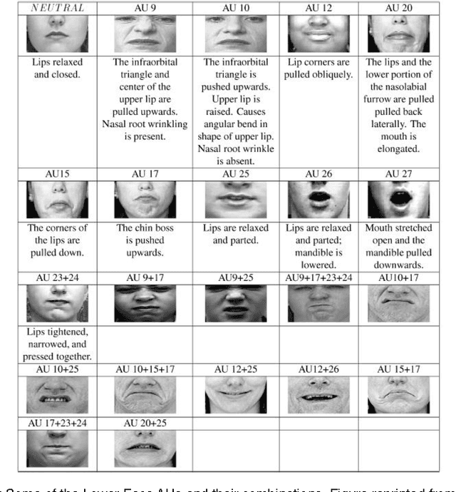 Figure 3 for Face Expression Recognition and Analysis: The State of the Art