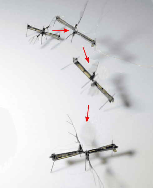 Figure 3 for RoboFly: An insect-sized robot with simplified fabrication that is capable of flight, ground, and water surface locomotion