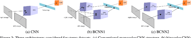 Figure 4 for Convolutional Neural Networks: A Binocular Vision Perspective