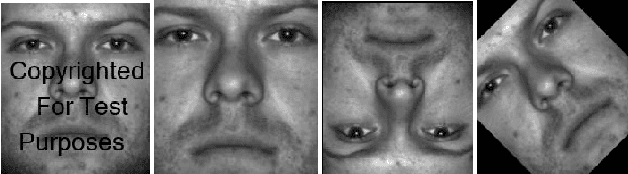 Figure 1 for Towards Evaluating Gaussian Blurring in Perceptual Hashing as a Facial Image Filter