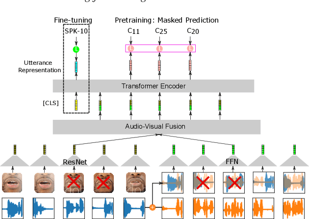 Figure 1 for Learning Lip-Based Audio-Visual Speaker Embeddings with AV-HuBERT