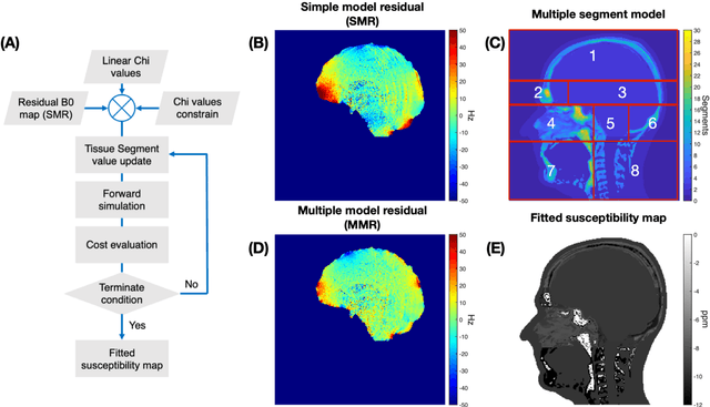 Figure 1 for Prediction of motion induced magnetic fields for human brain MRI at 3T