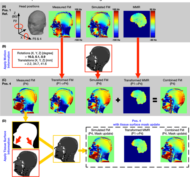 Figure 2 for Prediction of motion induced magnetic fields for human brain MRI at 3T