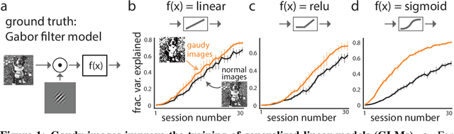Figure 1 for High-contrast "gaudy" images improve the training of deep neural network models of visual cortex