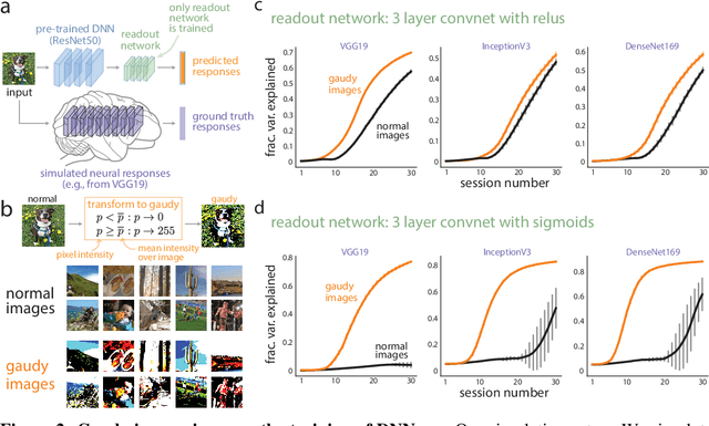 Figure 2 for High-contrast "gaudy" images improve the training of deep neural network models of visual cortex