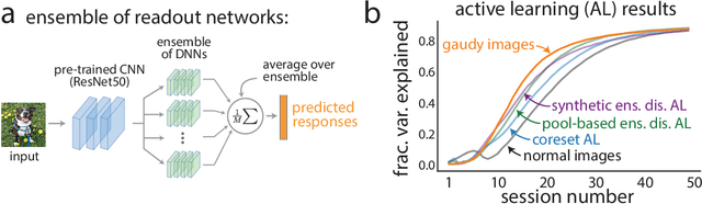 Figure 4 for High-contrast "gaudy" images improve the training of deep neural network models of visual cortex