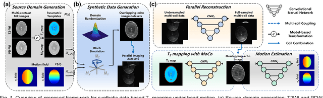 Figure 1 for Model-based Synthetic Data-driven Learning (MOST-DL): Application in Single-shot T2 Mapping with Severe Head Motion Using Overlapping-echo Acquisition