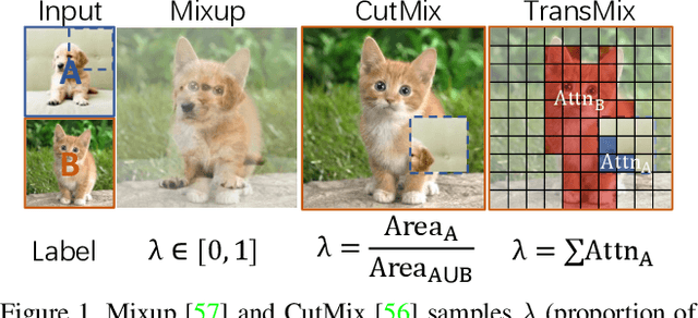 Figure 1 for TransMix: Attend to Mix for Vision Transformers