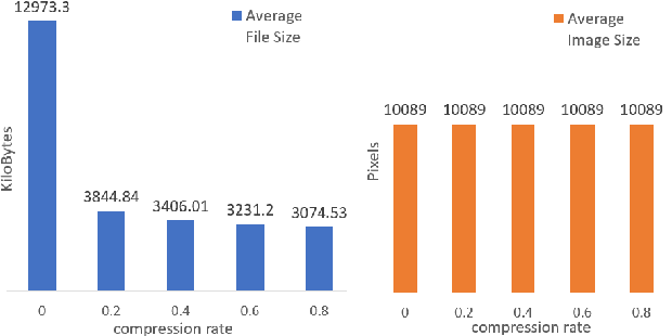 Figure 3 for To What Extent Does Downsampling, Compression, and Data Scarcity Impact Renal Image Analysis?