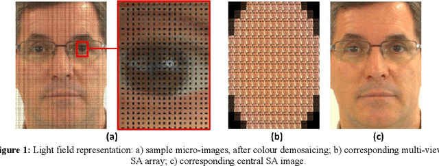 Figure 1 for Novel Long Short-Term Memory Cell Architectures: Application to Light Field Face Recognition