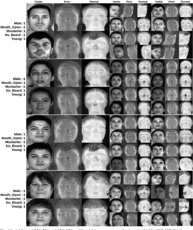 Figure 2 for Multimodal Face Synthesis from Visual Attributes