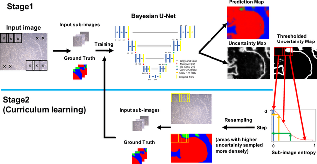 Figure 1 for Improving the Reliability of Semantic Segmentation of Medical Images by Uncertainty Modeling with Bayesian Deep Networks and Curriculum Learning
