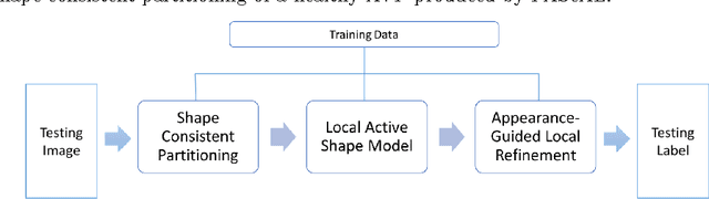 Figure 2 for Partitioned Shape Modeling with On-the-Fly Sparse Appearance Learning for Anterior Visual Pathway Segmentation