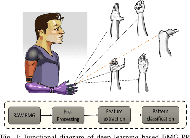 Figure 1 for A Robust and Accurate Deep Learning based Pattern Recognition Framework for Upper Limb Prosthesis using sEMG