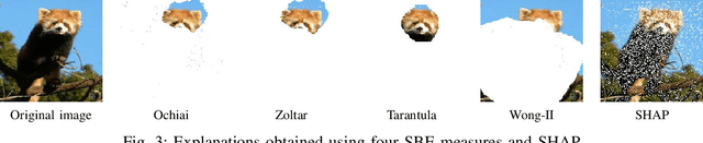 Figure 3 for Explaining Deep Neural Networks Using Spectrum-Based Fault Localization