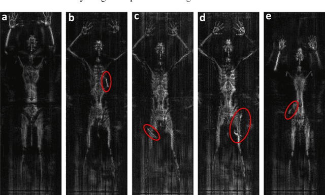 Figure 3 for Terahertz Security Image Quality Assessment by No-reference Model Observers