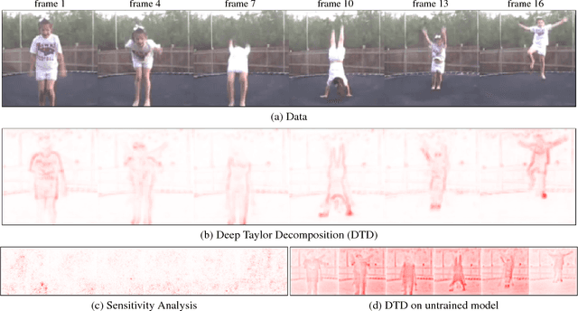 Figure 1 for Understanding Patch-Based Learning by Explaining Predictions