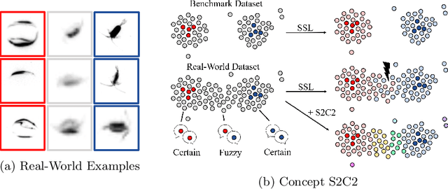 Figure 1 for S2C2 - An orthogonal method for Semi-Supervised Learning on fuzzy labels