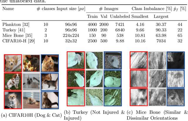 Figure 2 for S2C2 - An orthogonal method for Semi-Supervised Learning on fuzzy labels