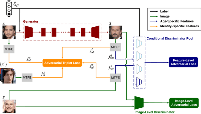 Figure 2 for Age-Oriented Face Synthesis with Conditional Discriminator Pool and Adversarial Triplet Loss