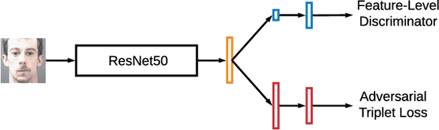 Figure 3 for Age-Oriented Face Synthesis with Conditional Discriminator Pool and Adversarial Triplet Loss