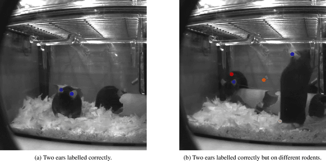 Figure 1 for Unsupervised Videographic Analysis of Rodent Behaviour