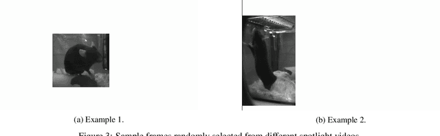 Figure 3 for Unsupervised Videographic Analysis of Rodent Behaviour