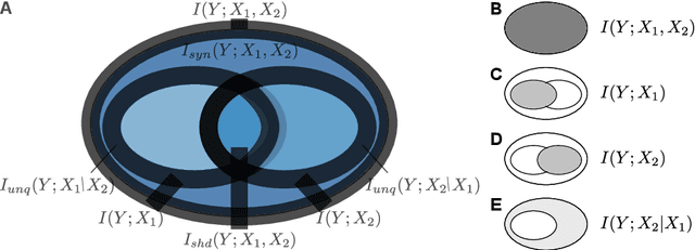 Figure 1 for A Rigorous Information-Theoretic Definition of Redundancy and Relevancy in Feature Selection Based on (Partial) Information Decomposition