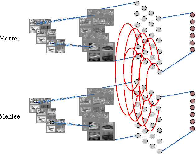 Figure 1 for Diving deeper into mentee networks