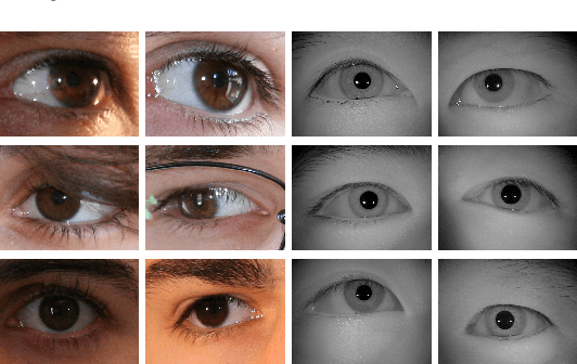 Figure 1 for Ocular Recognition Databases and Competitions: A Survey