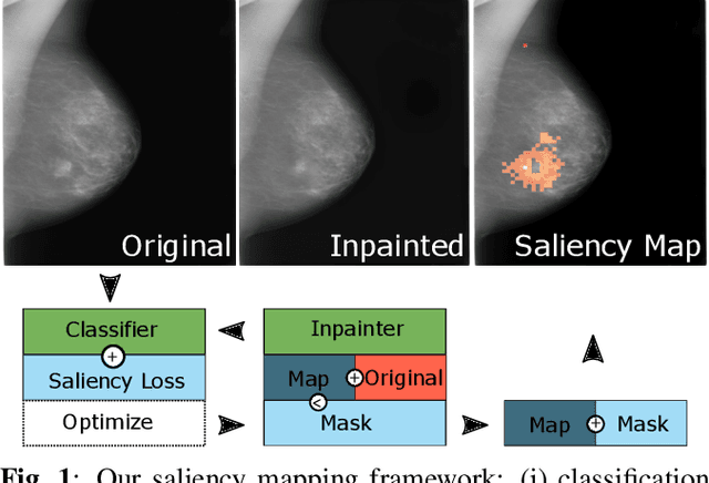 Figure 1 for Interpreting Medical Image Classifiers by Optimization Based Counterfactual Impact Analysis