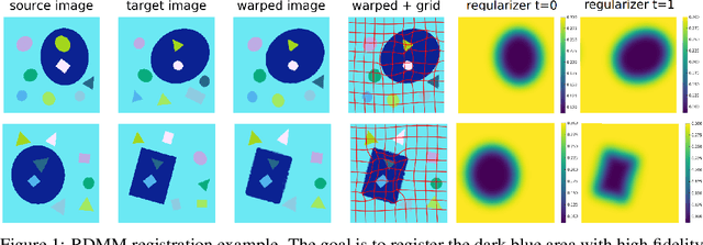 Figure 1 for Region-specific Diffeomorphic Metric Mapping