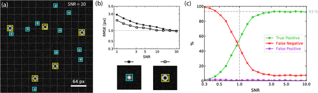 Figure 3 for Convolutional Neural Networks for Real-Time Localization and Classification in Feedback Digital Microscopy