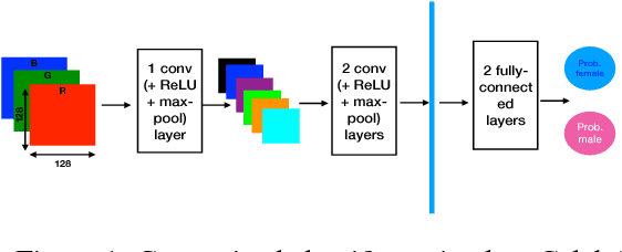 Figure 2 for Understanding Unequal Gender Classification Accuracy from Face Images
