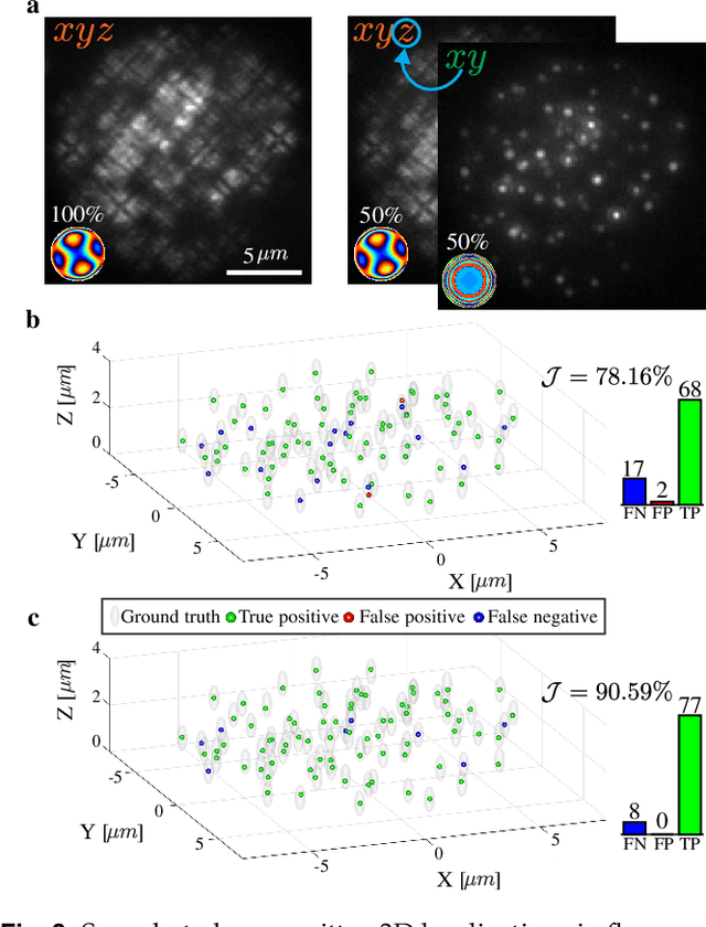 Figure 3 for Learning an optimal PSF-pair for ultra-dense 3D localization microscopy