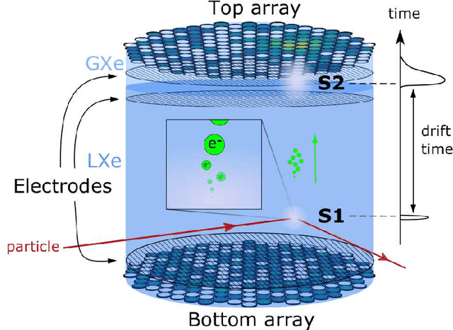 Figure 1 for Domain-informed neural networks for interaction localization within astroparticle experiments