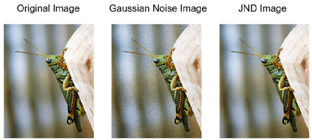 Figure 1 for AdvJND: Generating Adversarial Examples with Just Noticeable Difference