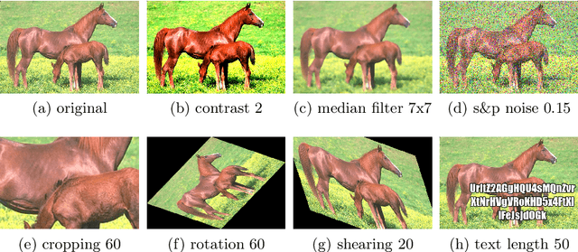 Figure 2 for Needle In A Haystack, Fast: Benchmarking Image Perceptual Similarity Metrics At Scale