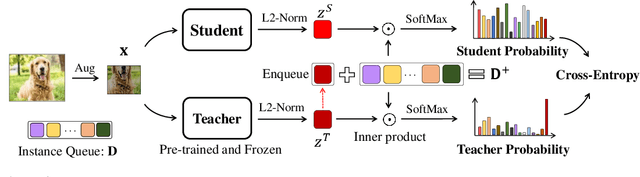 Figure 3 for SEED: Self-supervised Distillation For Visual Representation