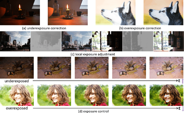 Figure 3 for CuDi: Curve Distillation for Efficient and Controllable Exposure Adjustment