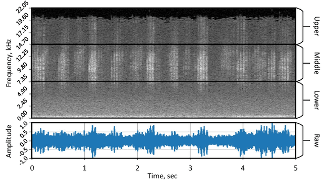 Figure 2 for ESResNet: Environmental Sound Classification Based on Visual Domain Models