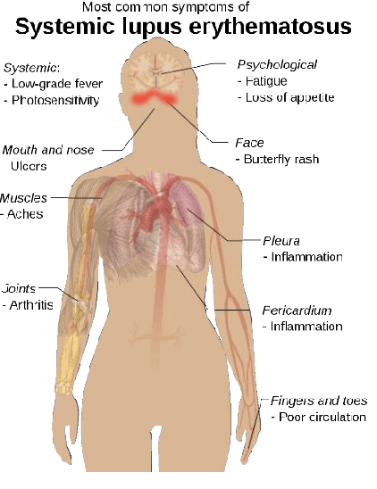 Figure 1 for How scientific literature has been evolving over the time? A novel statistical approach using tracking verbal-based methods