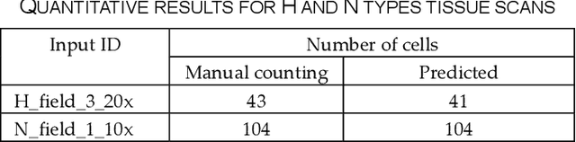 Figure 2 for GanglionNet: Objectively Assess the Density and Distribution of Ganglion Cells With NABLA-N Network