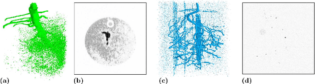 Figure 1 for 3D U-Net for Segmentation of Plant Root MRI Images in Super-Resolution