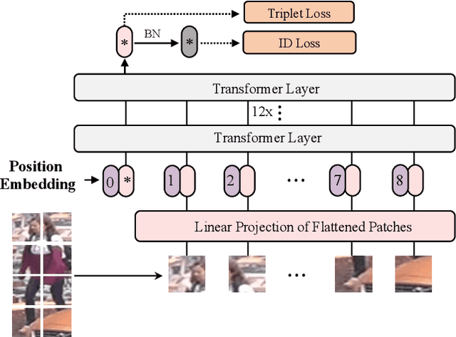 Figure 3 for TransReID: Transformer-based Object Re-Identification