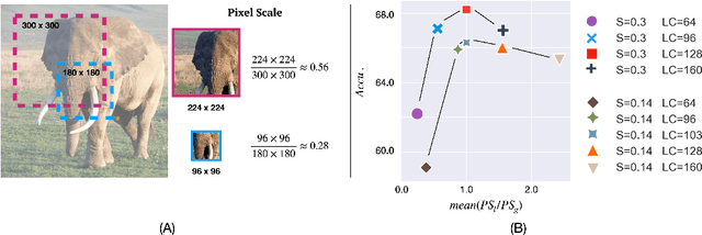 Figure 3 for Effective Self-supervised Pre-training on Low-compute networks without Distillation